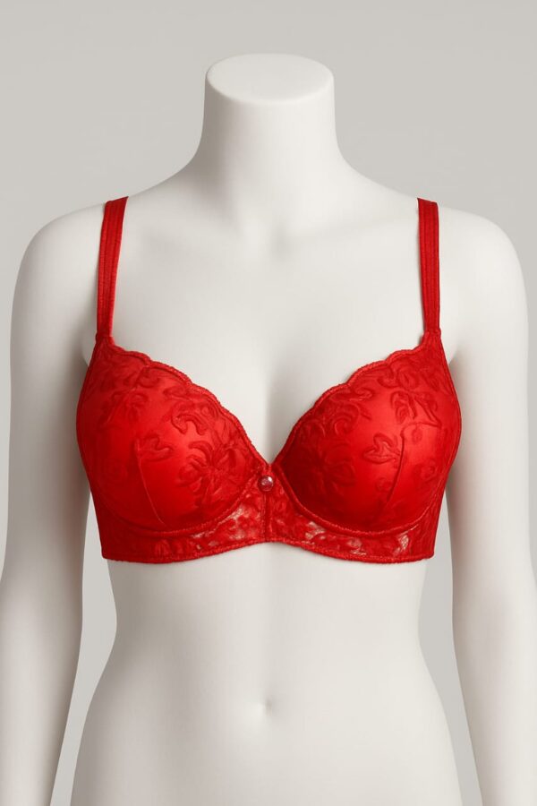 SILKSECRET SCARLETT RED BRA
