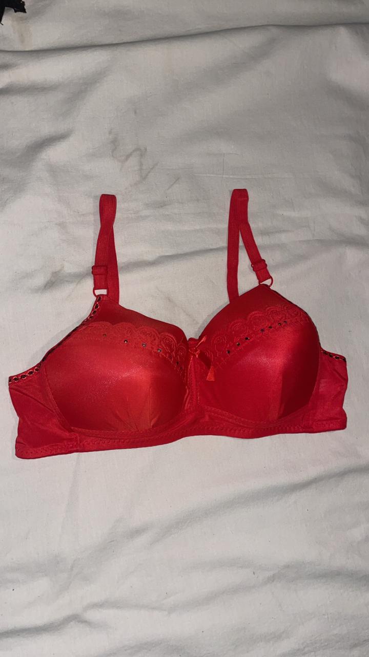 SILKSECRET RED LACE CHARM BRA - Image 2