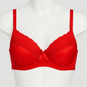 SILKSECRET RED LACE CHARM BRA