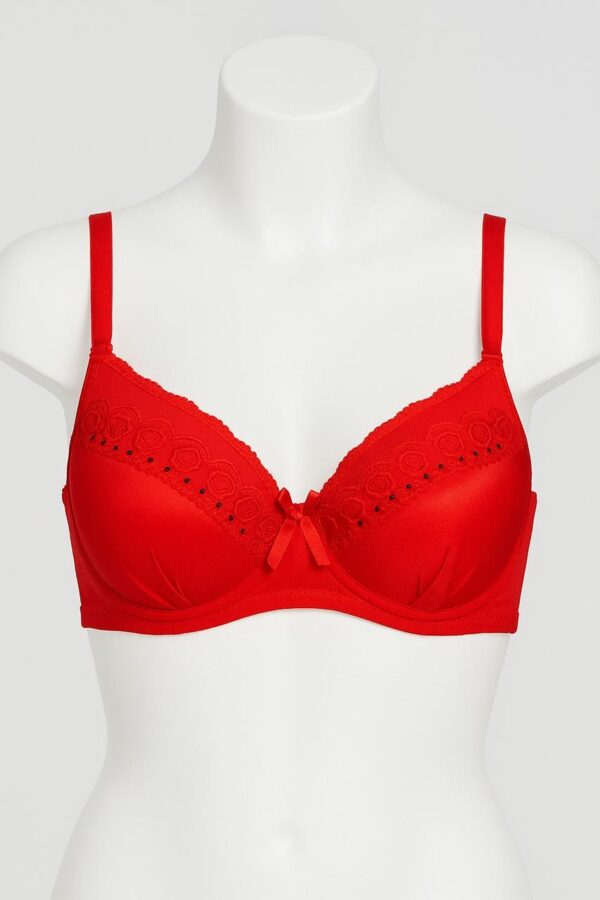 SILKSECRET RED LACE CHARM BRA