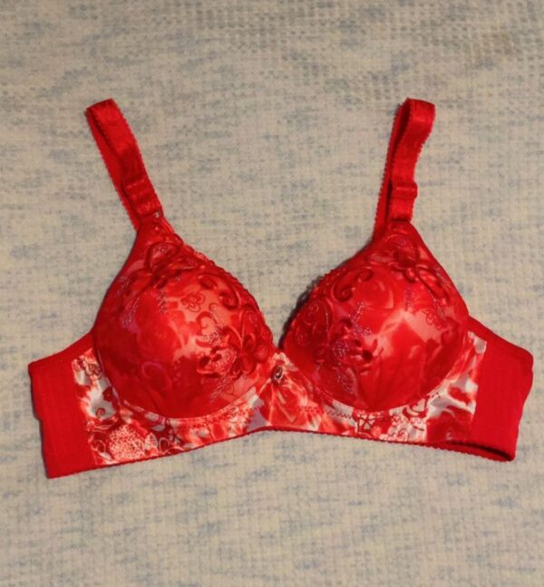 SILKSECRET SCARLETT RED BRA - Image 2