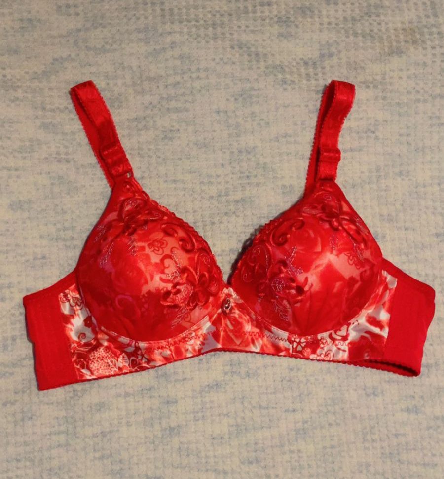 SILKSECRET SCARLETT RED BRA - Image 2