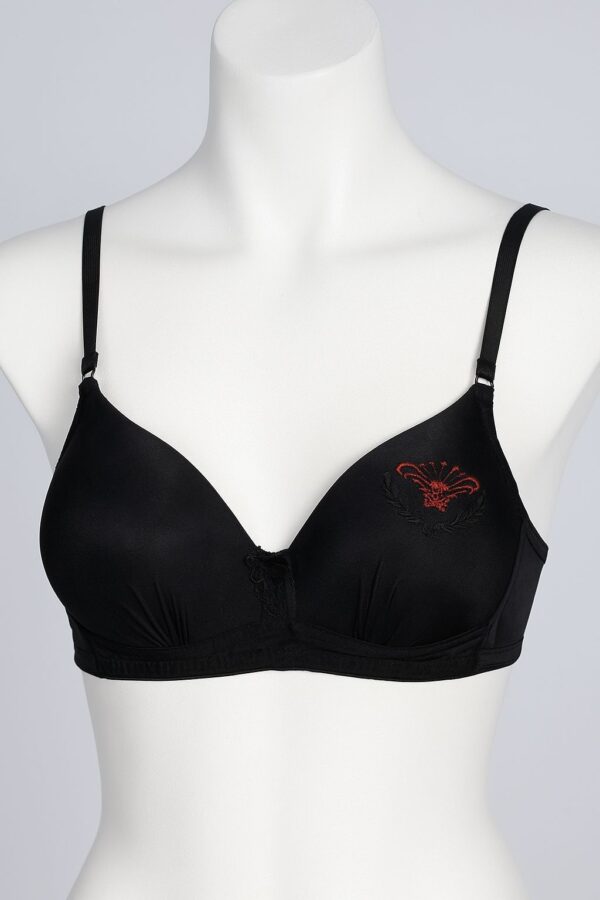 SILKSECRET BLACK PHEONIX BRA