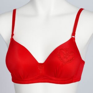SILKSECRET RED EMBROIDED BRA