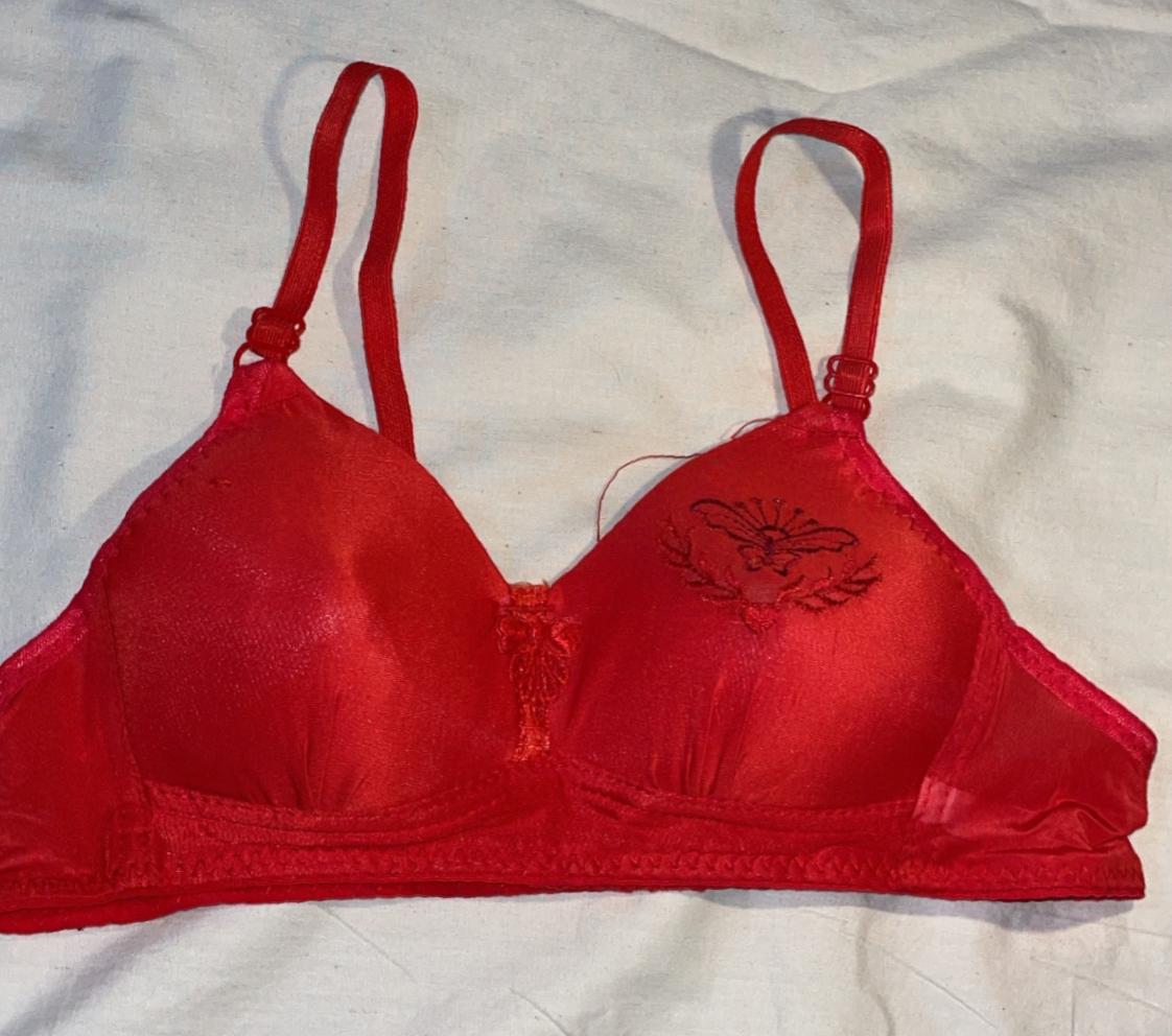 SILKSECRET RED EMBROIDED BRA - Image 2