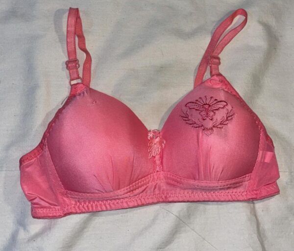 SILKSECRET PINK EMBLEM PADDED BRA - Image 2