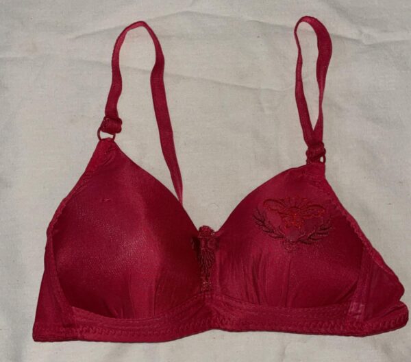 SILKSECRET TEA PINK HEART EMBROIDED BRA - Image 2